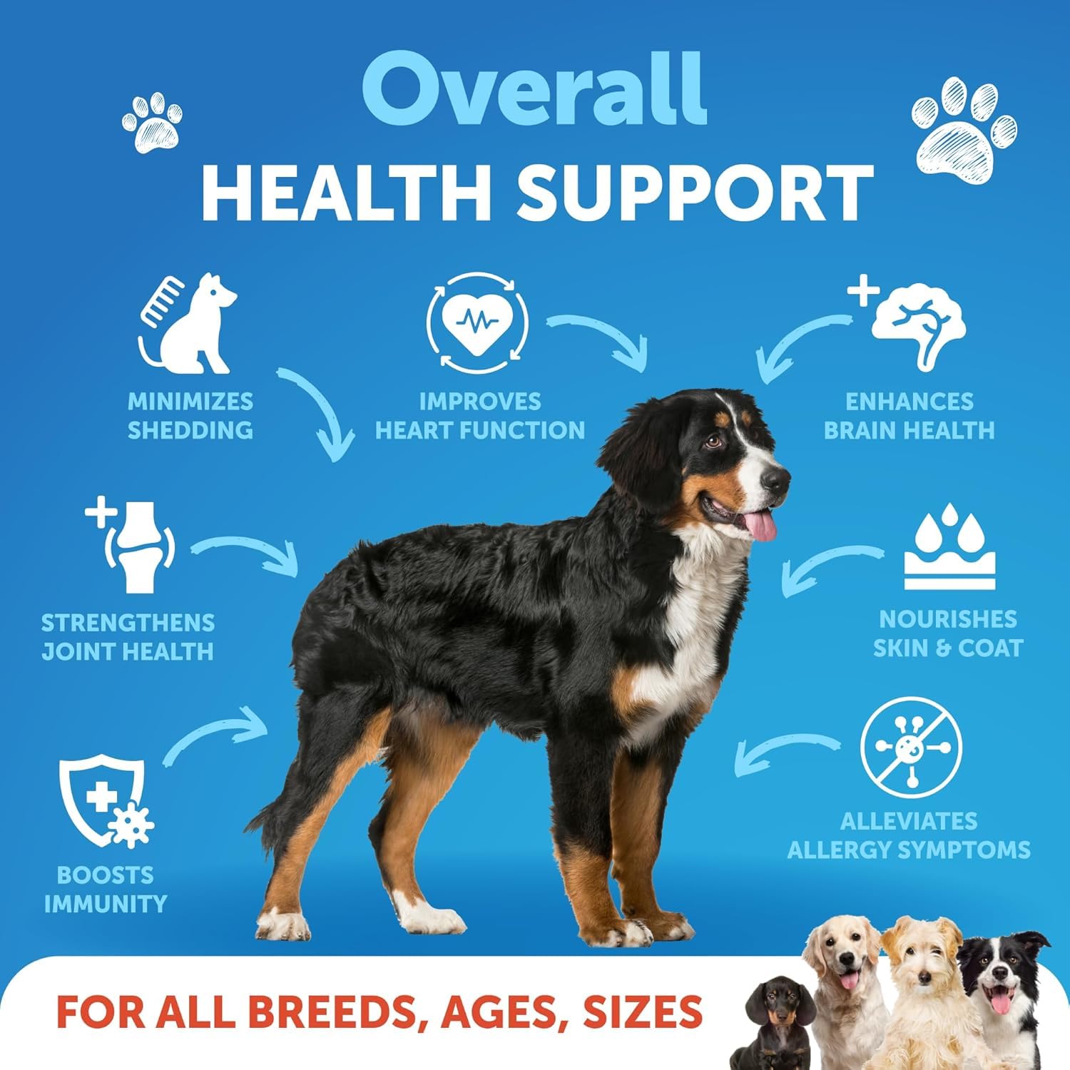 Artullano Omega3 Chien Gouttes — administration facile pour pelage brillant.