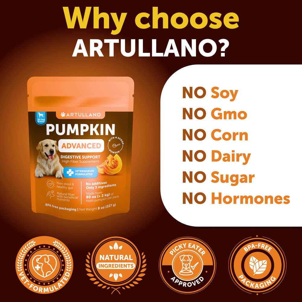 Artullano Poudre citrouille pour chiens – selles fermes et harmonie digestive au quotidien.