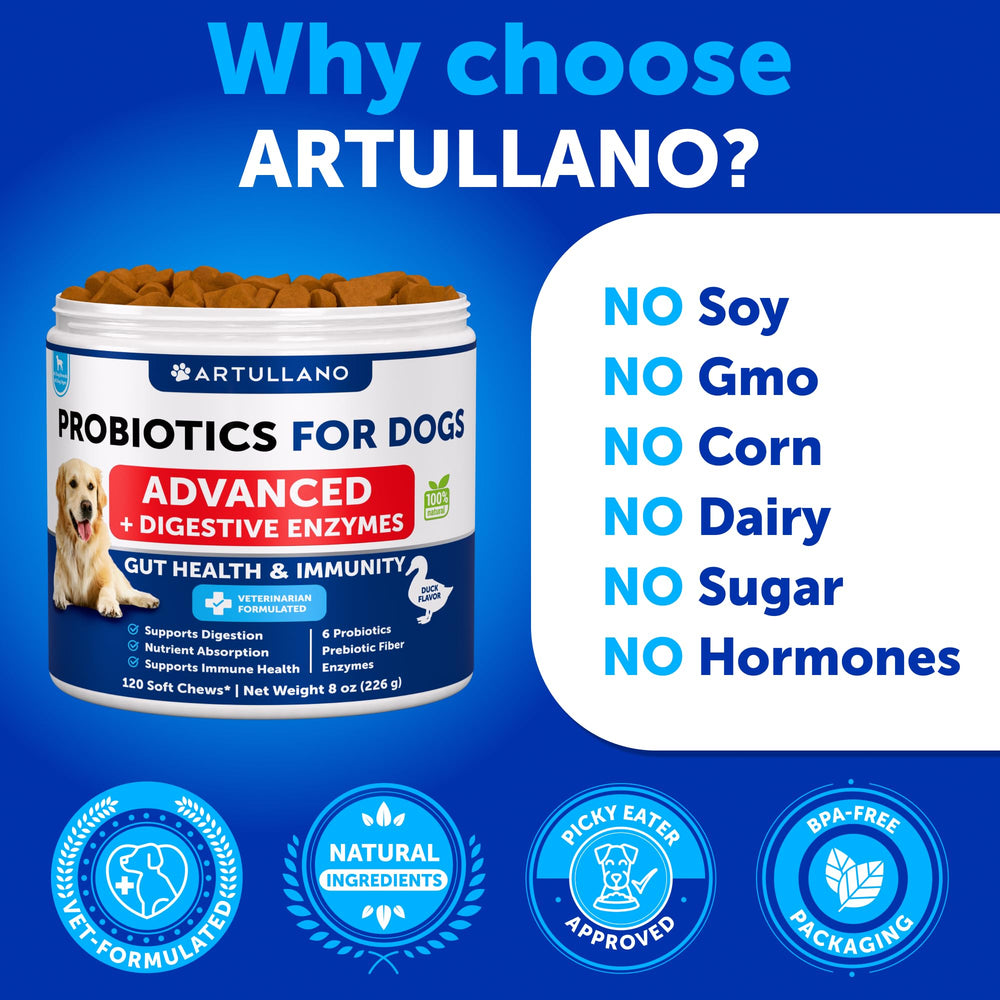 Artullano Probiotiques: ingrédients naturels et prébiotiques pour chiens.