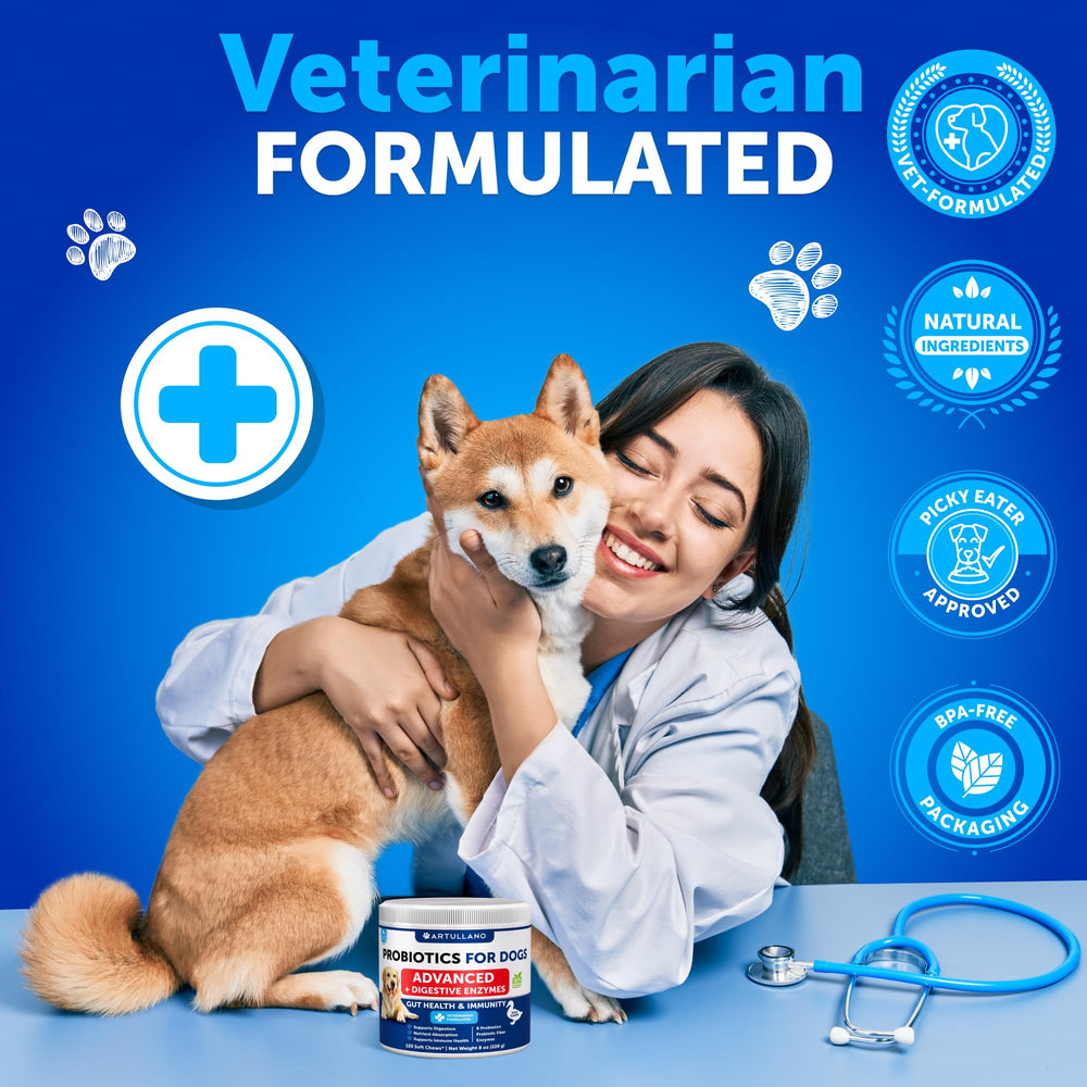 Utilisation quotidienne des Probiotiques Artullano pour chien, facile et pratique.