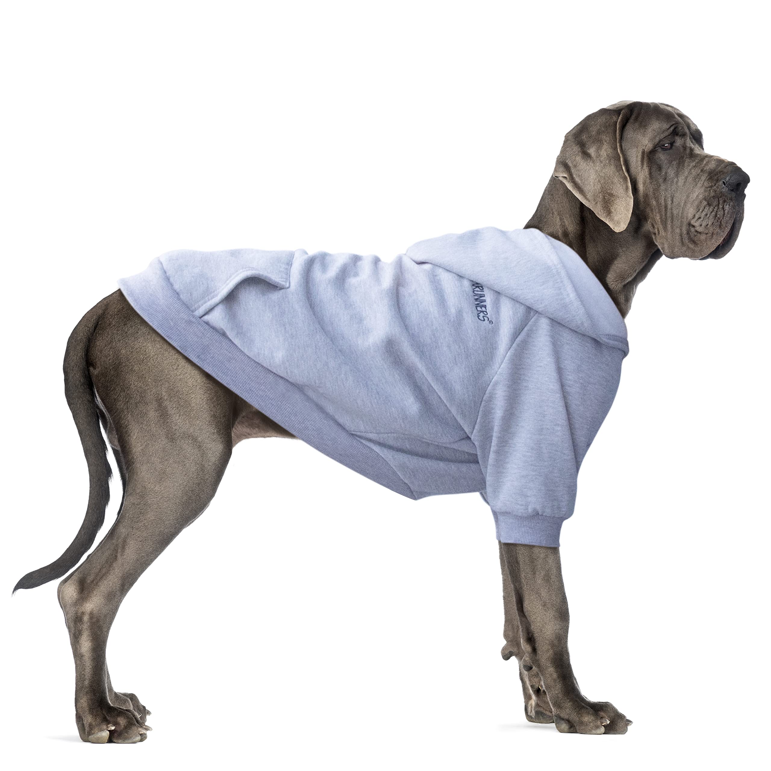 ARUNNERS hoodie pour chien très grand gris – vue avant, confort et chaleur.