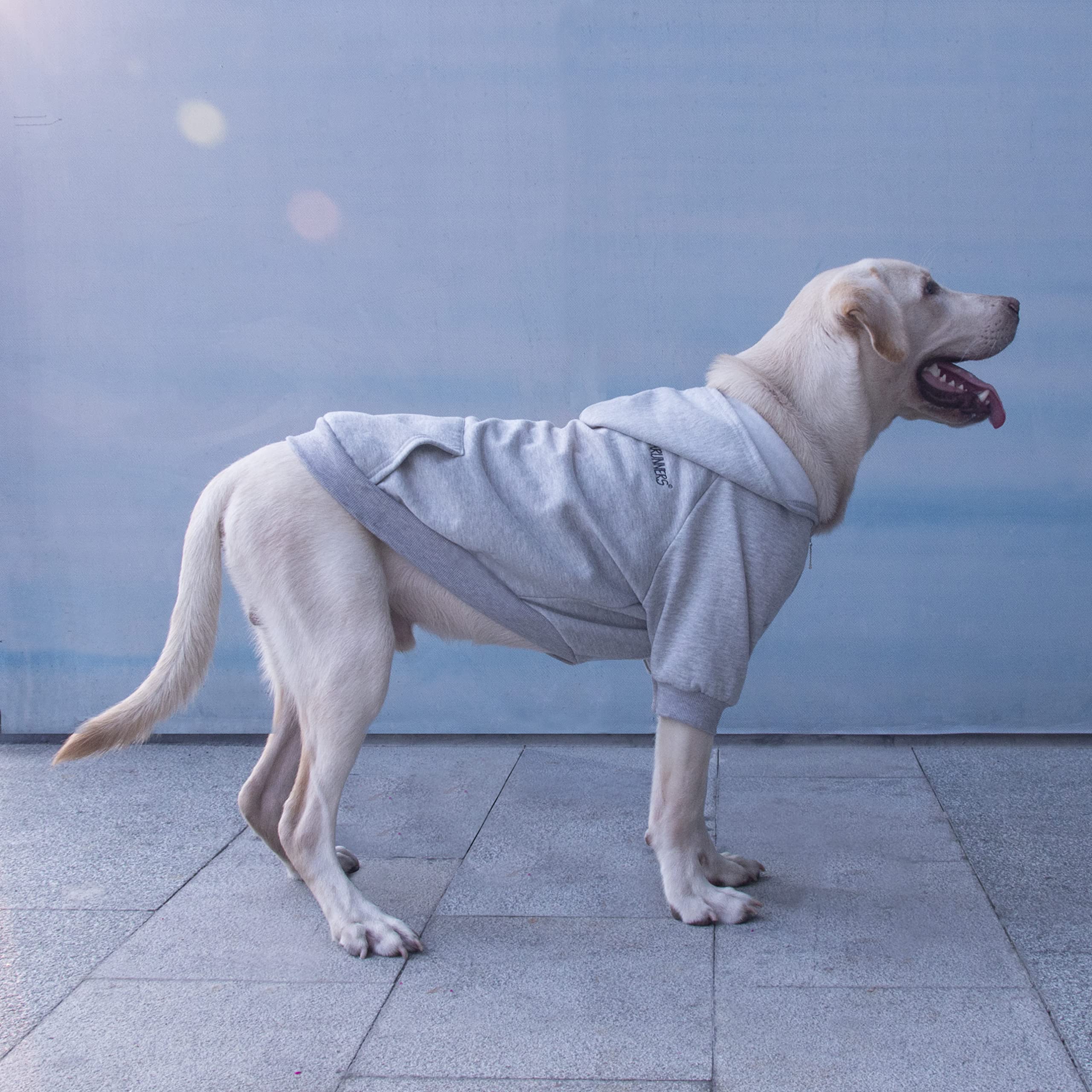 ARUNNERS hoodie gris – trou pour laisse, promenades sécurisées.