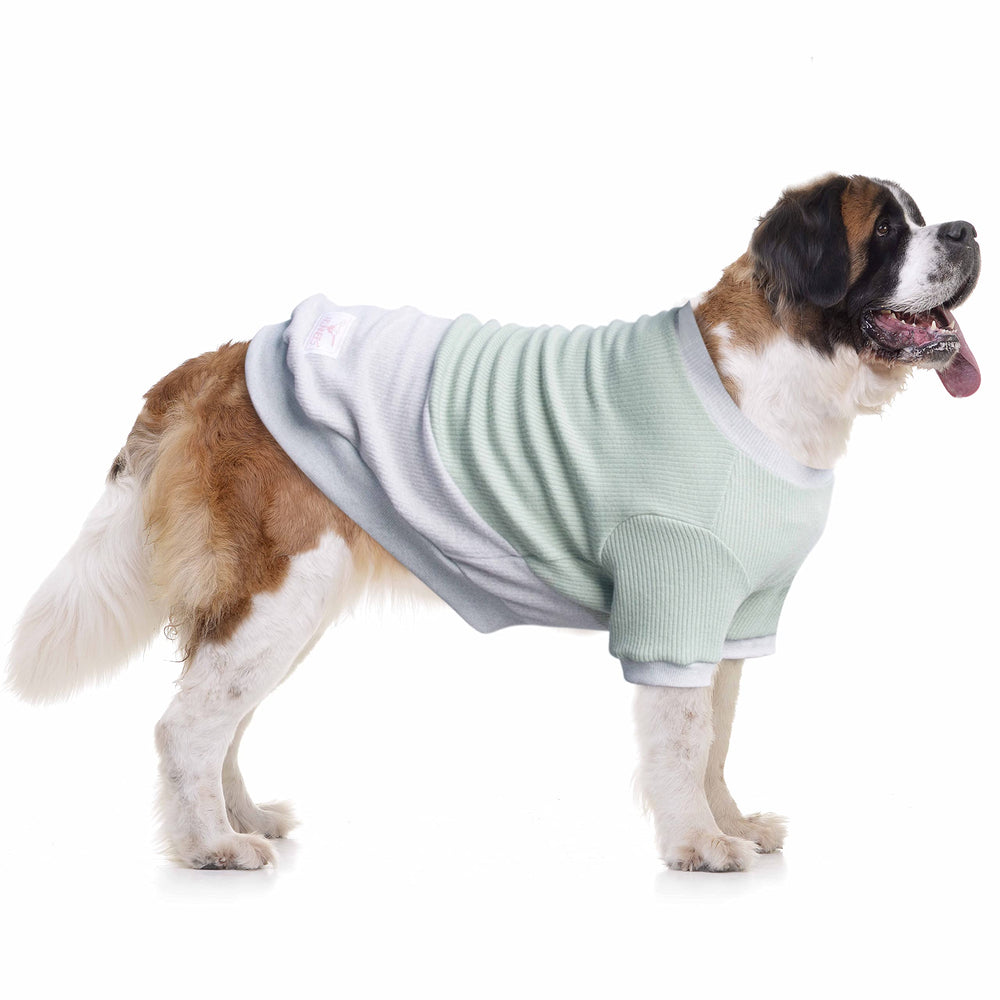 ARUNNERS pull-chien bloc-couleur vert-gris, confort durable pour gros chiens.