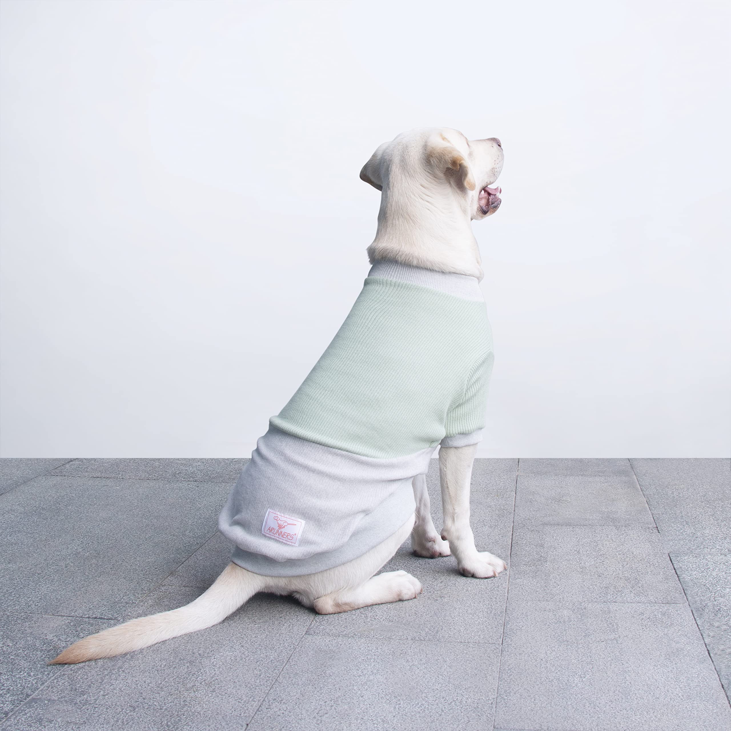 ARUNNERS pull-chien detail tricot vert-gris, chaleur douce et ajustement facile.