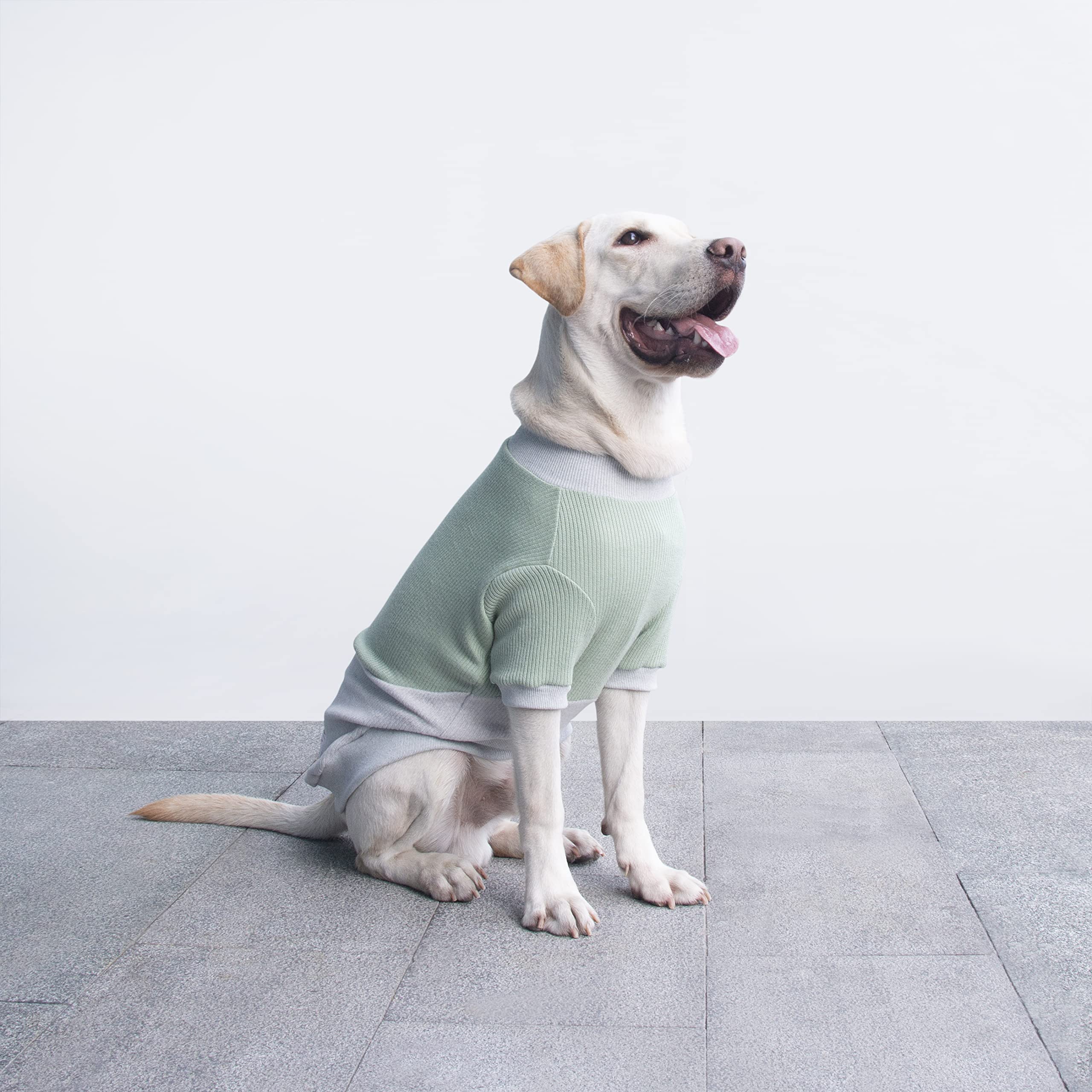 ARUNNERS entretien facile pull-chien vert-gris, lavable en machine a basse temperature.