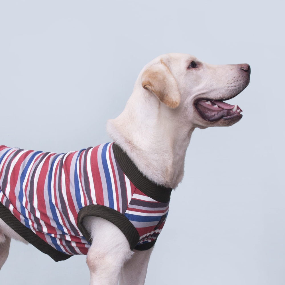 ARUNNERS T-shirt pour chien 9X-Large, détail tissu coton, durabilité et douceur.