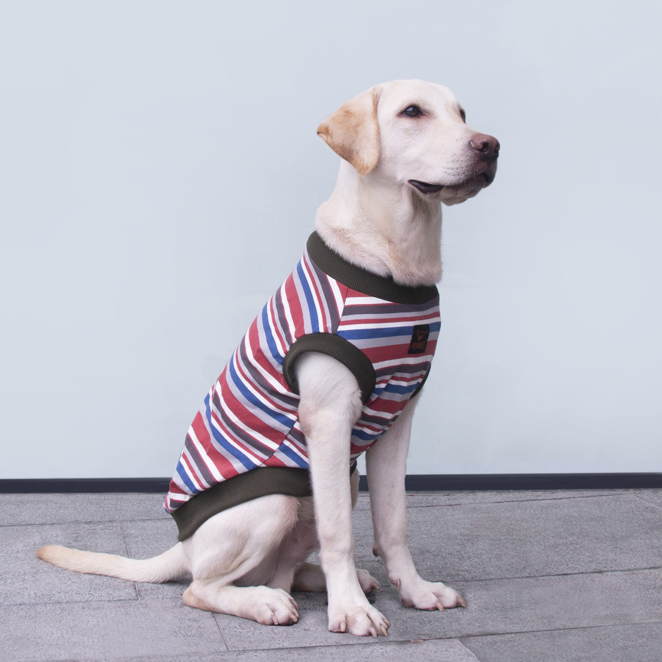 ARUNNERS T-shirt pour chien 9X-Large, vue dos, design rayé pour un look moderne.