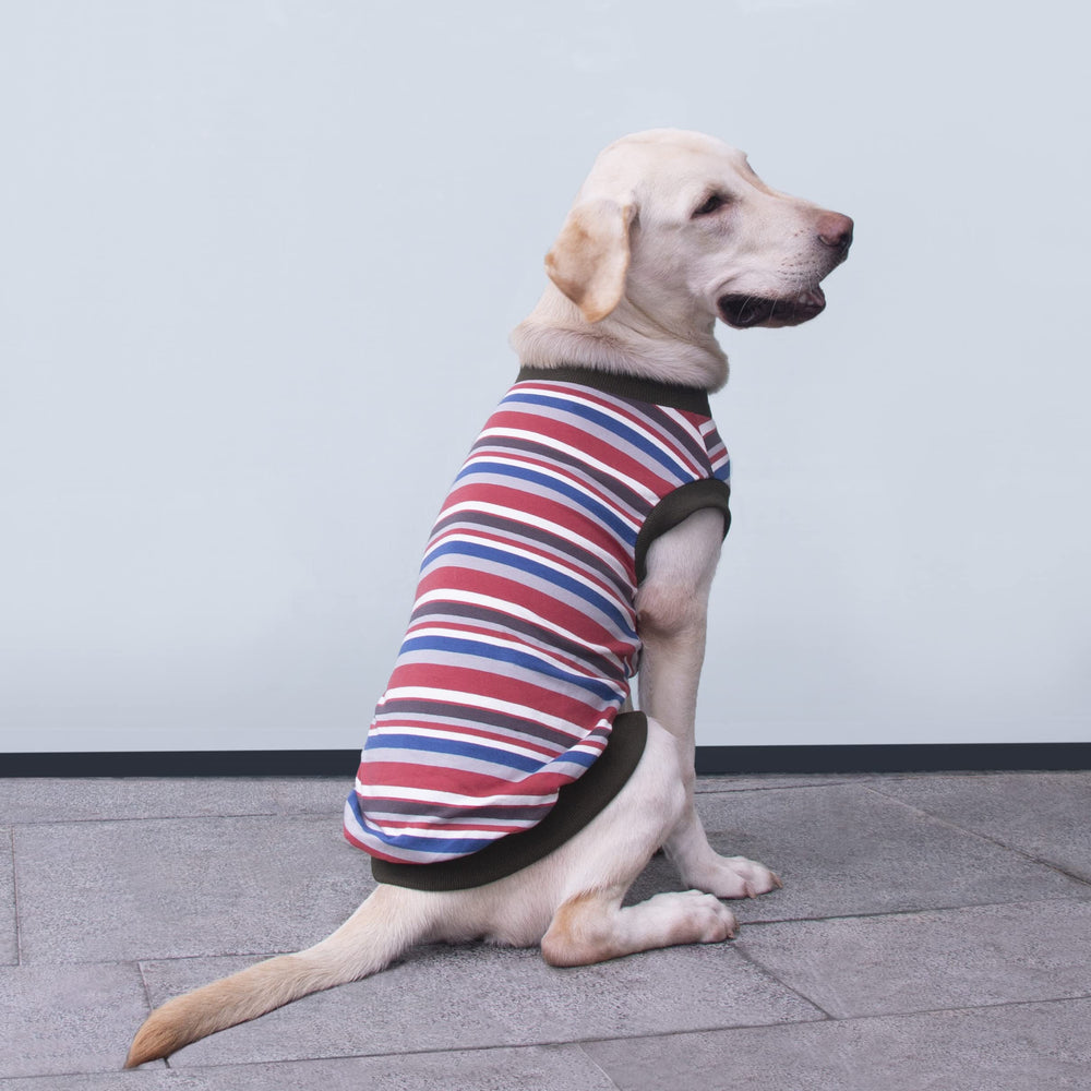 ARUNNERS étiquette taille sur T-shirt chien 9X-Large, guide taille simple.