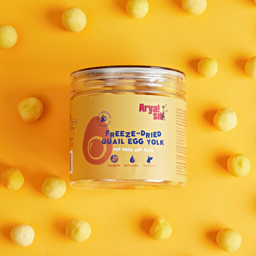 Arya Sit! Bocal portable, friandise lyophilisée prête à l'emploi.