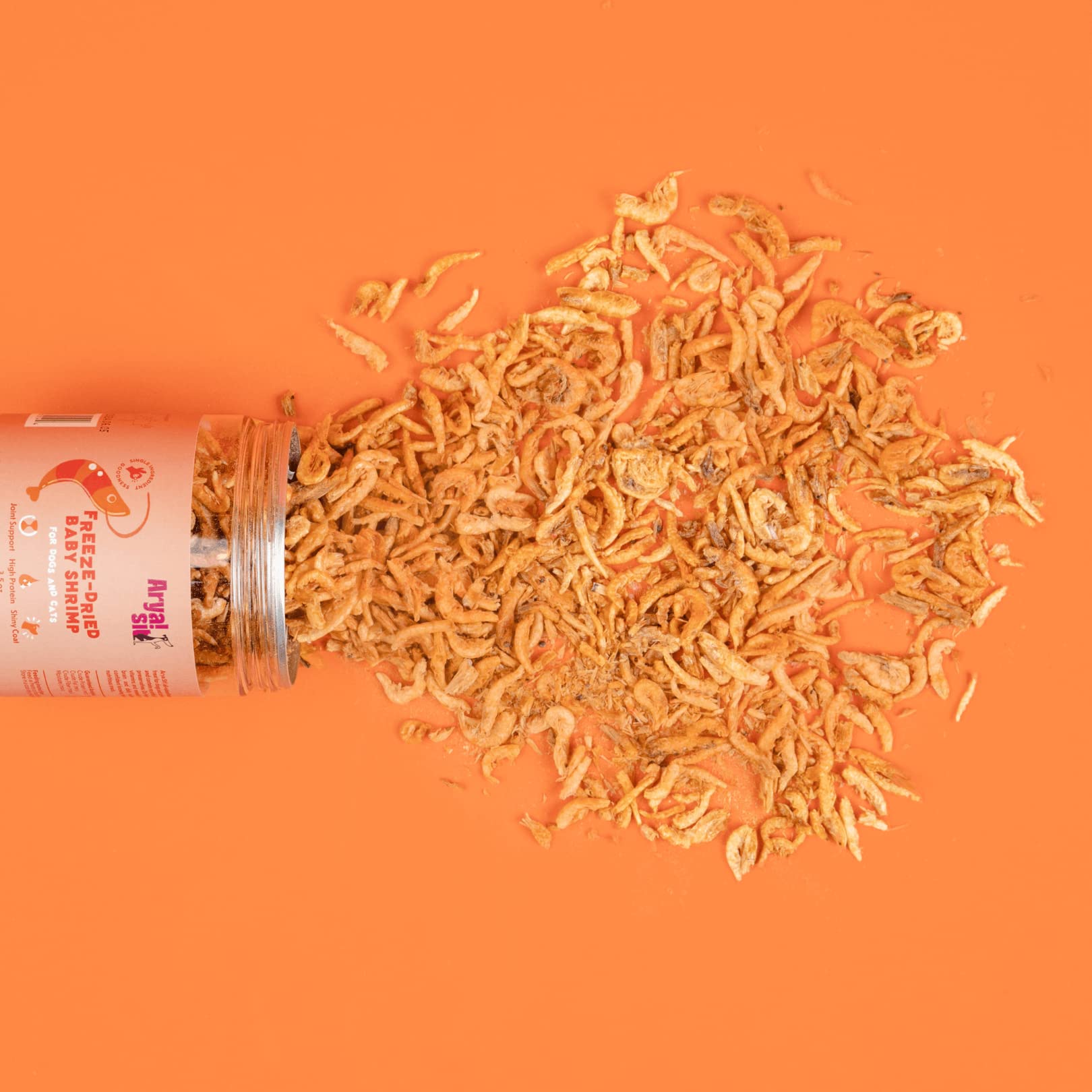 Bocal verrouillable Arya Sit! pour garder les friandises fraîches et prêtes.