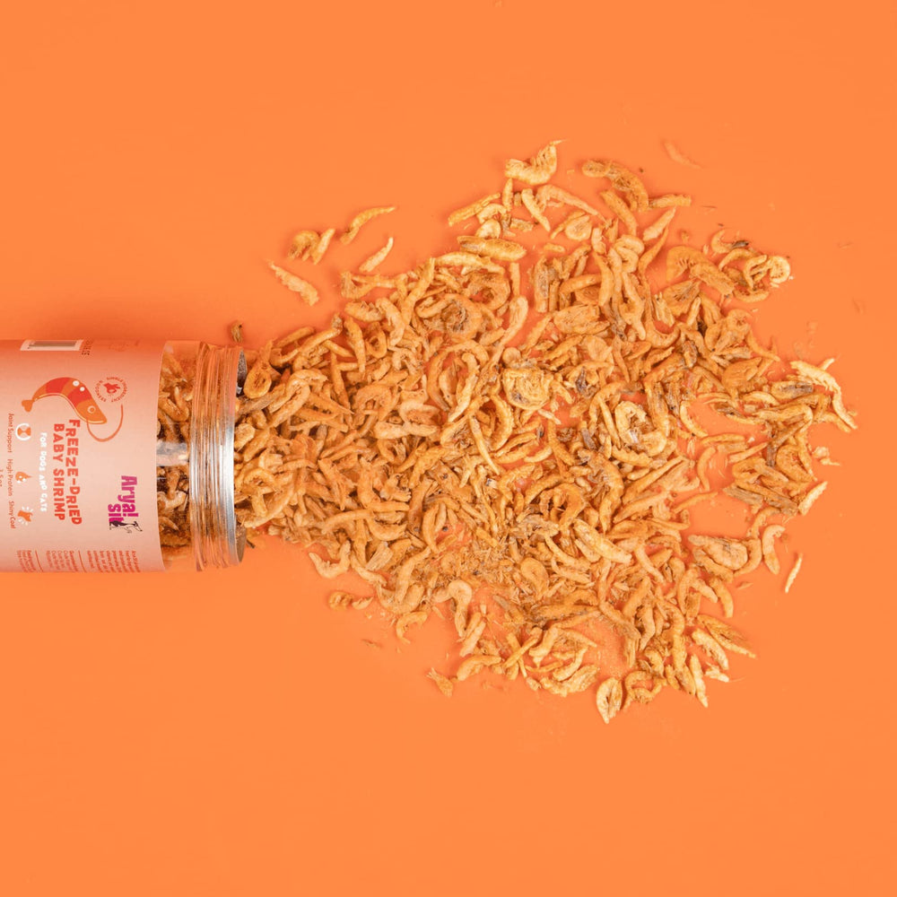 Bocal verrouillable Arya Sit! pour garder les friandises fraîches et prêtes.