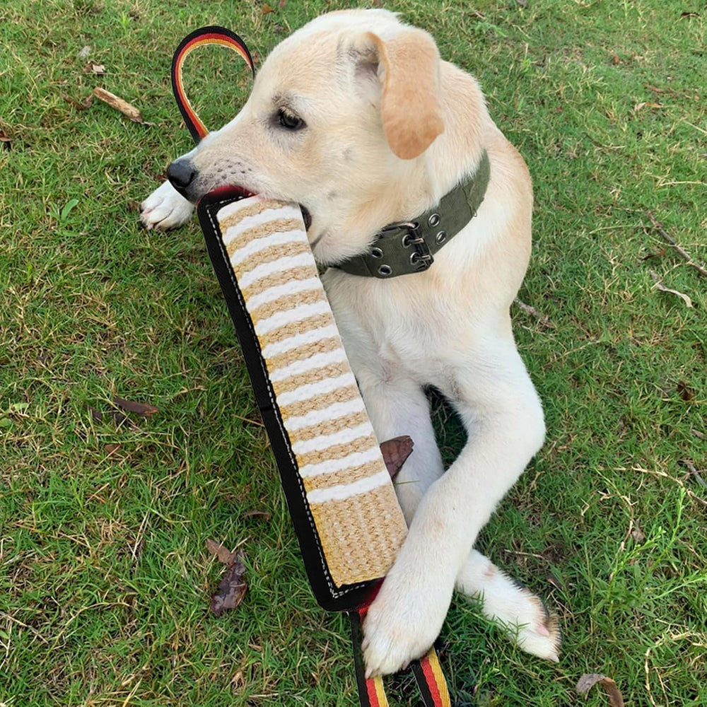 ASOCEA jouet en jute pour chien de grande taille, soutien l'entraînement et la détente.