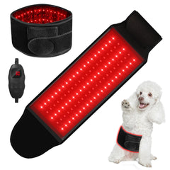 Asenei ceinture lumière rouge pour chien utilisée à domicile pour soulager les douleurs articulaires.