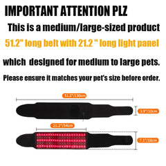 Asenei technologie double lumière rouge infrarouge pour chiens et chevaux, favorisant la réparation cellulaire.