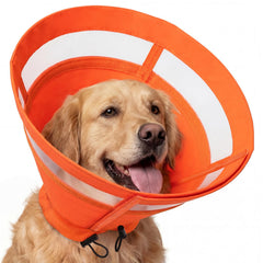 ASENKU collier-cone chien orange XL, limite le léchage pendant récupération.