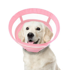 Le collier conique ASENKU pour chien rose, taille XL, confort et liberté.