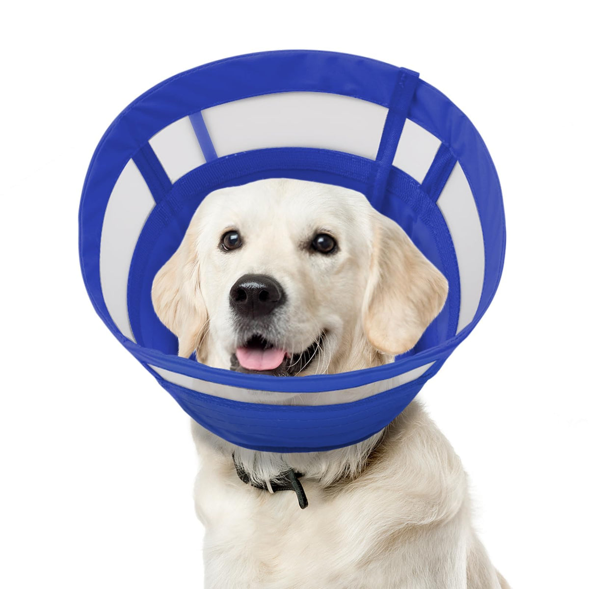 ASENKU collier-cone bleu, vue de face, protège les zones sensibles lors de la récupération.