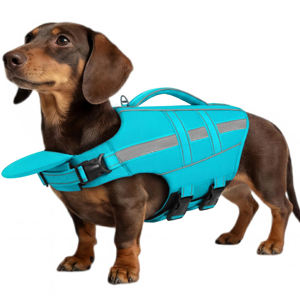 ASENKU gilet chien haute flottation pour natation sécurisée