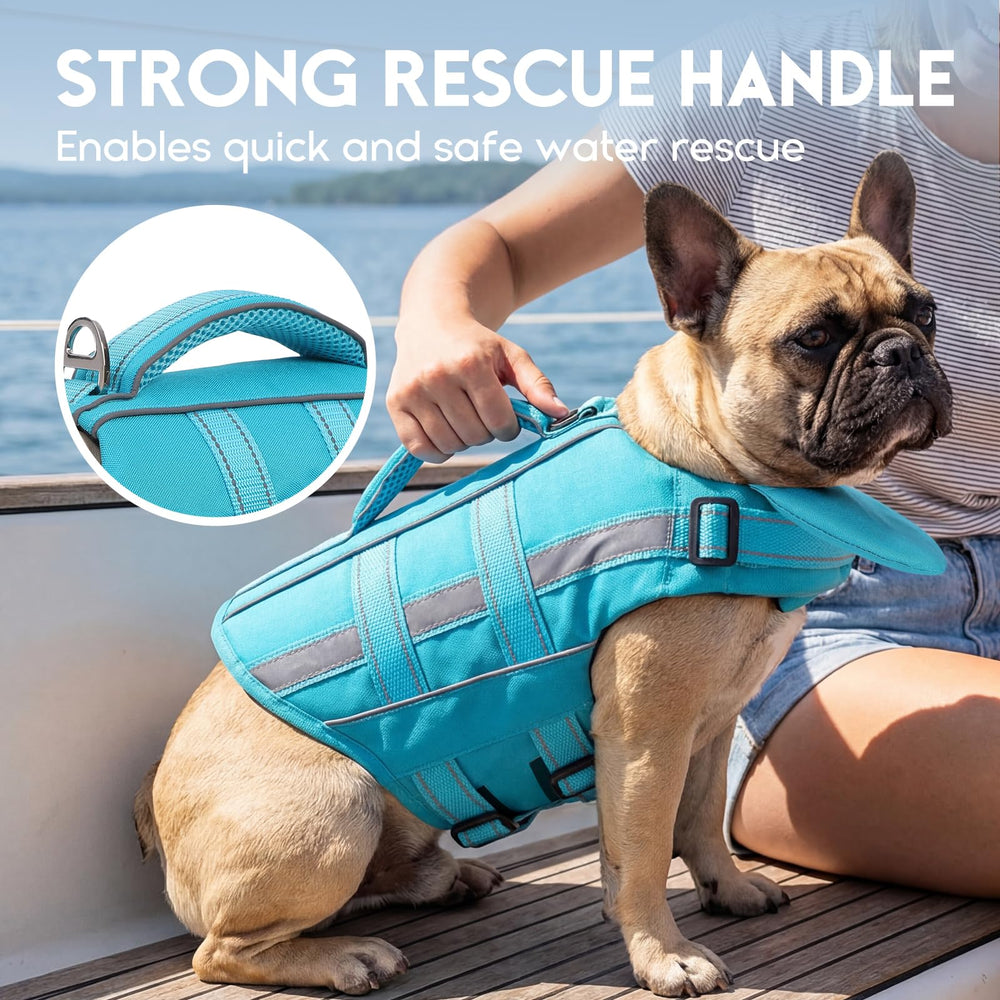 ASENKU gilet chien bleu boucles de dégagement rapide et sangles