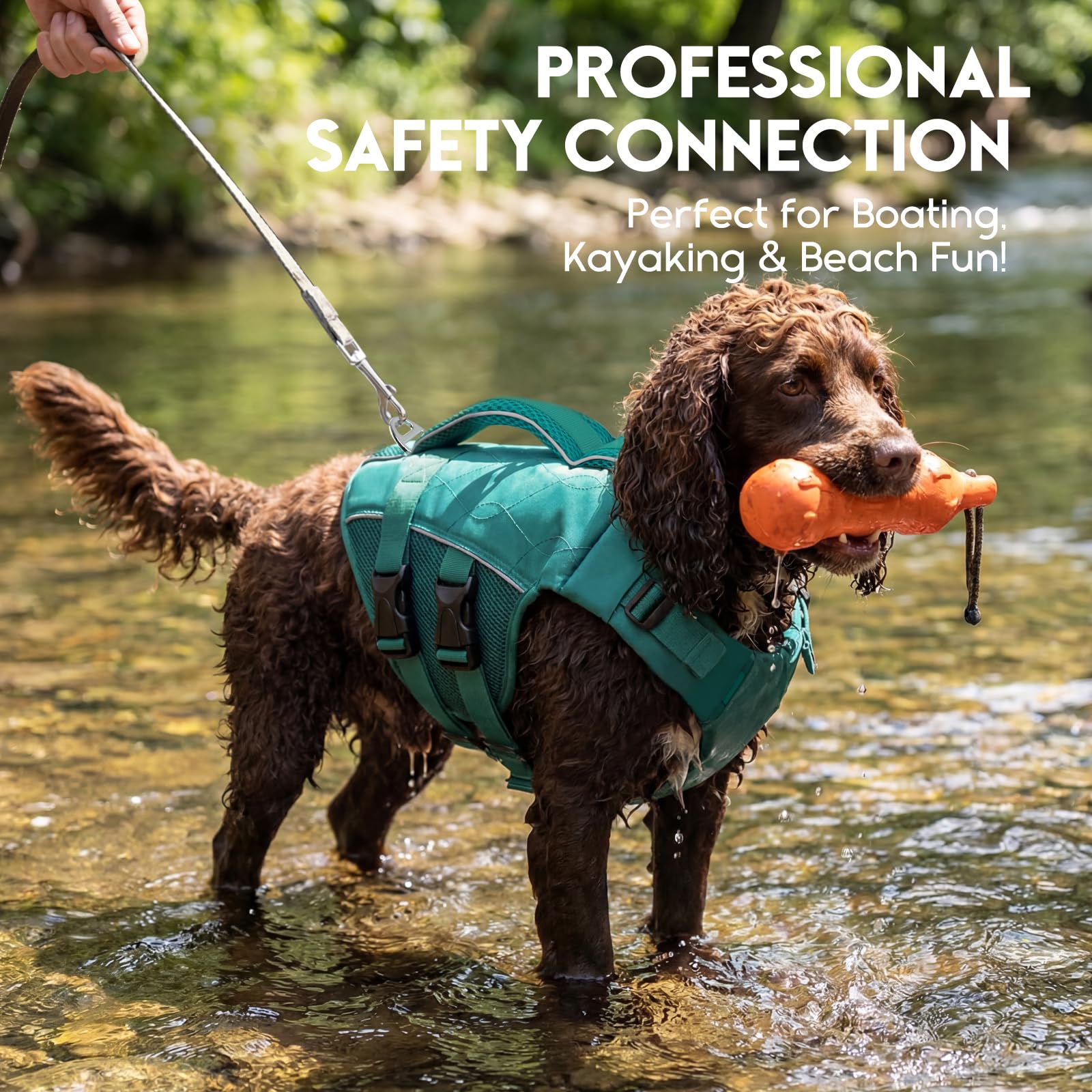 Mise en place rapide ASENKU gilet de sauvetage chien