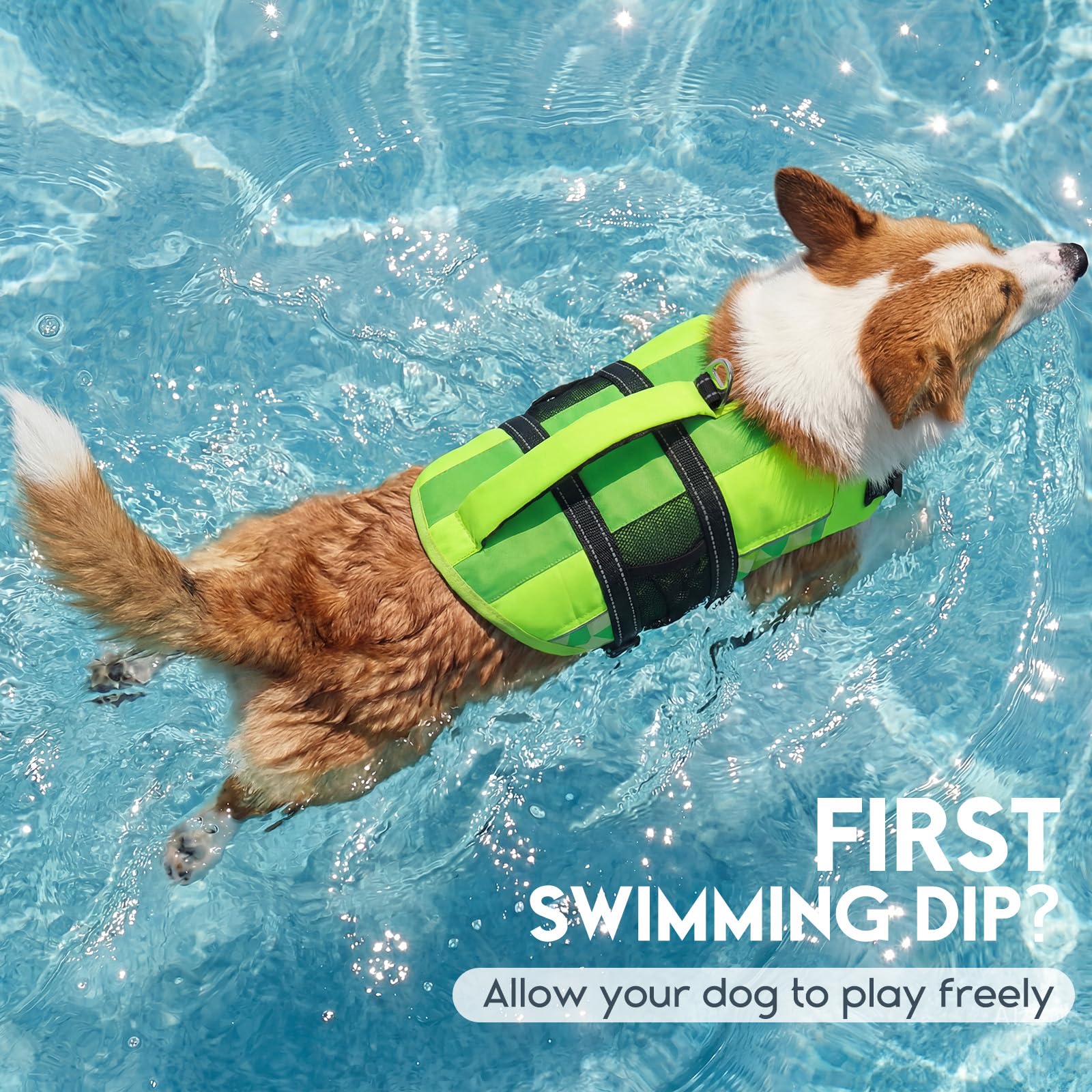 ASENKU gilet sauvetage chien mousse haute densité pour flottabilité fiable