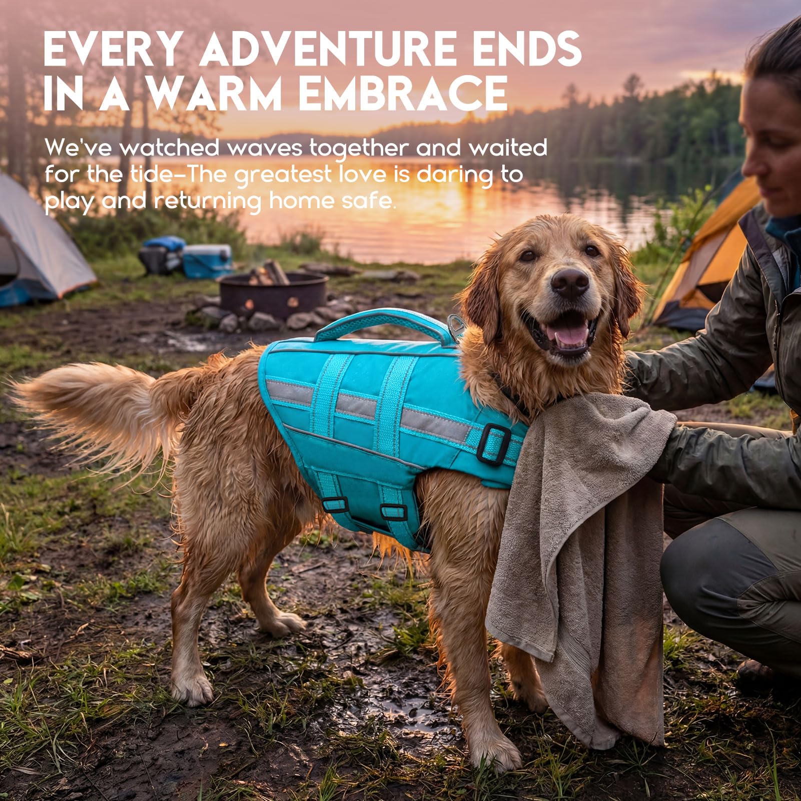 ASENKU gilet chien avec sangle ventrale pour stabilité et confort.