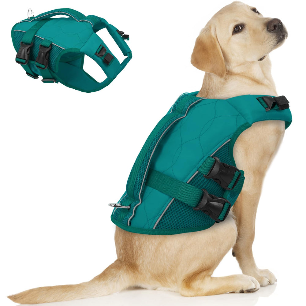 ASENKU gilet sauvetage chien vert lac, vue avant, améliore flotabilité.
