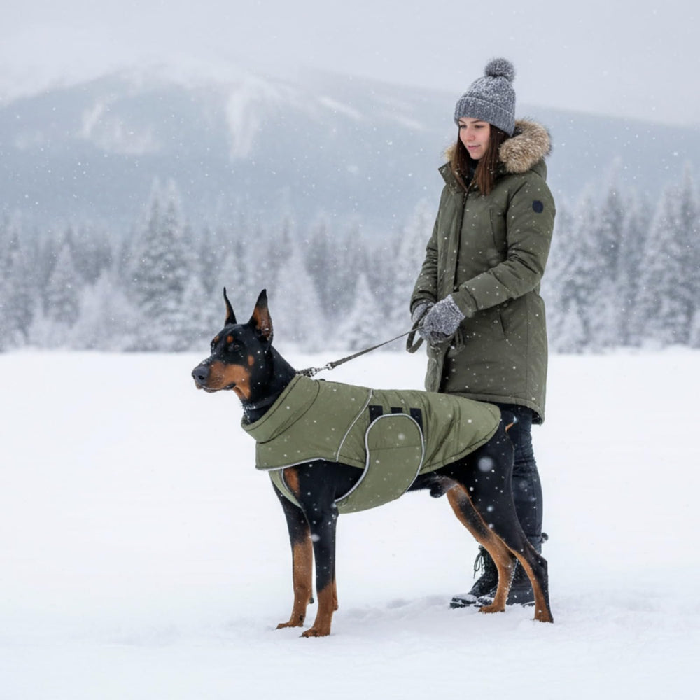 ASENKU manteau chien taille 2XL vert adapté grands chiens