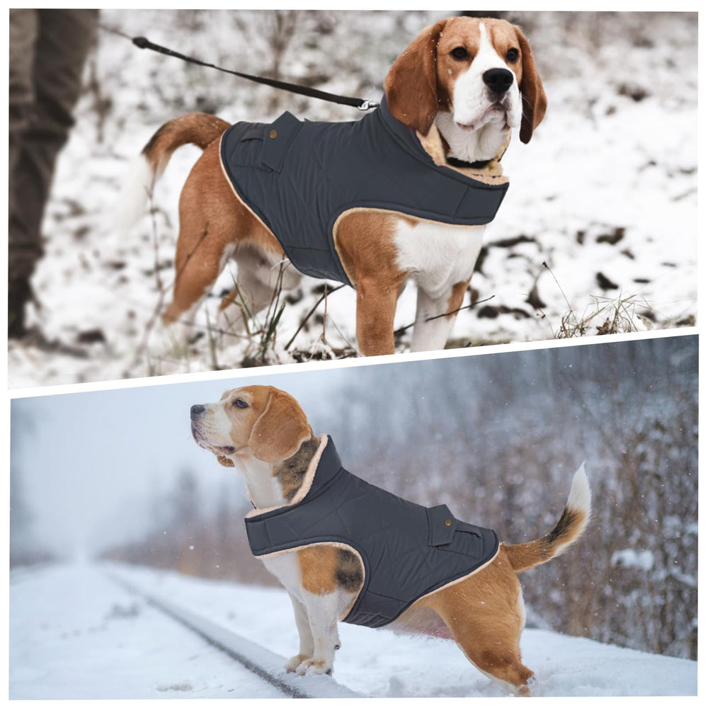 ASENKU manteau chien hiver – fermeture ventrale haute pour protection renforcée.