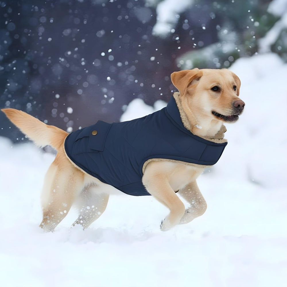 ASENKU manteau chien hiver – ouverture arrière facilitant l’attache et le maintien.