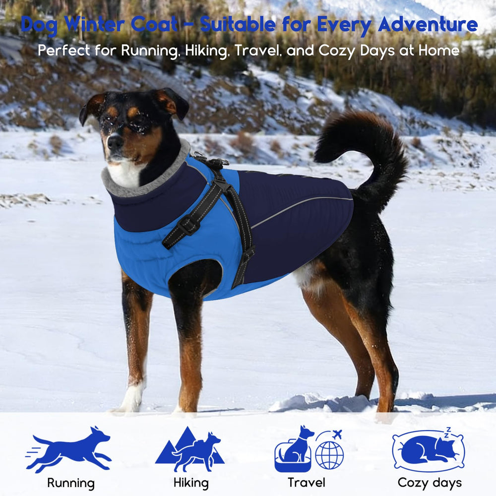 Manteau ASENKU hiver polyvalent pour toutes tailles et aventures.