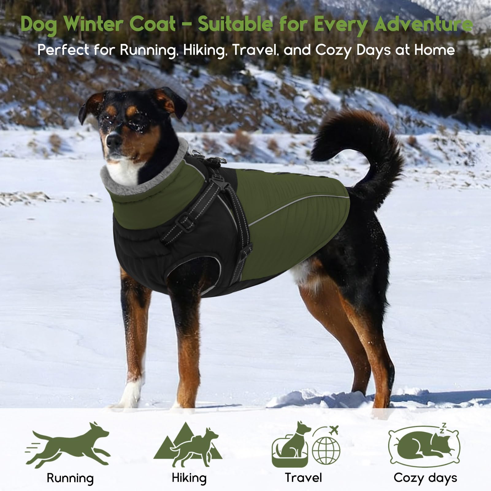ASENKU manteau chien polyvalent pour fêtes et sorties hivernales