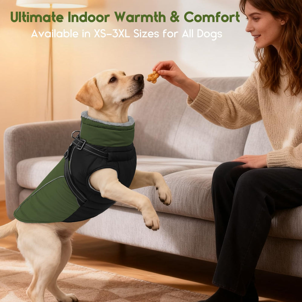 ASENKU manteau chien réflectif dos améliore visibilité lors des balades