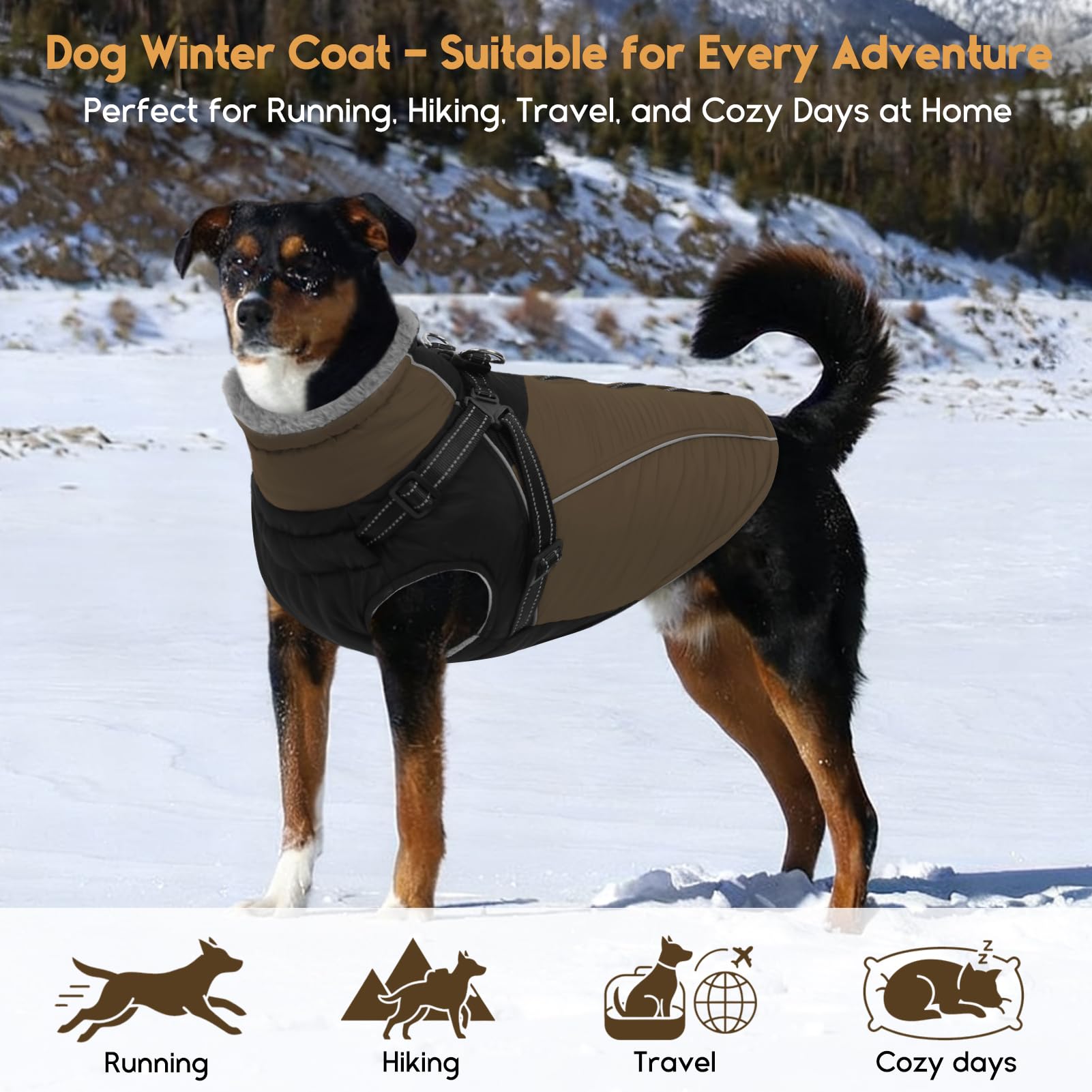 ASENKU manteau chien tailles variees, adapté à plusieurs races et tailles