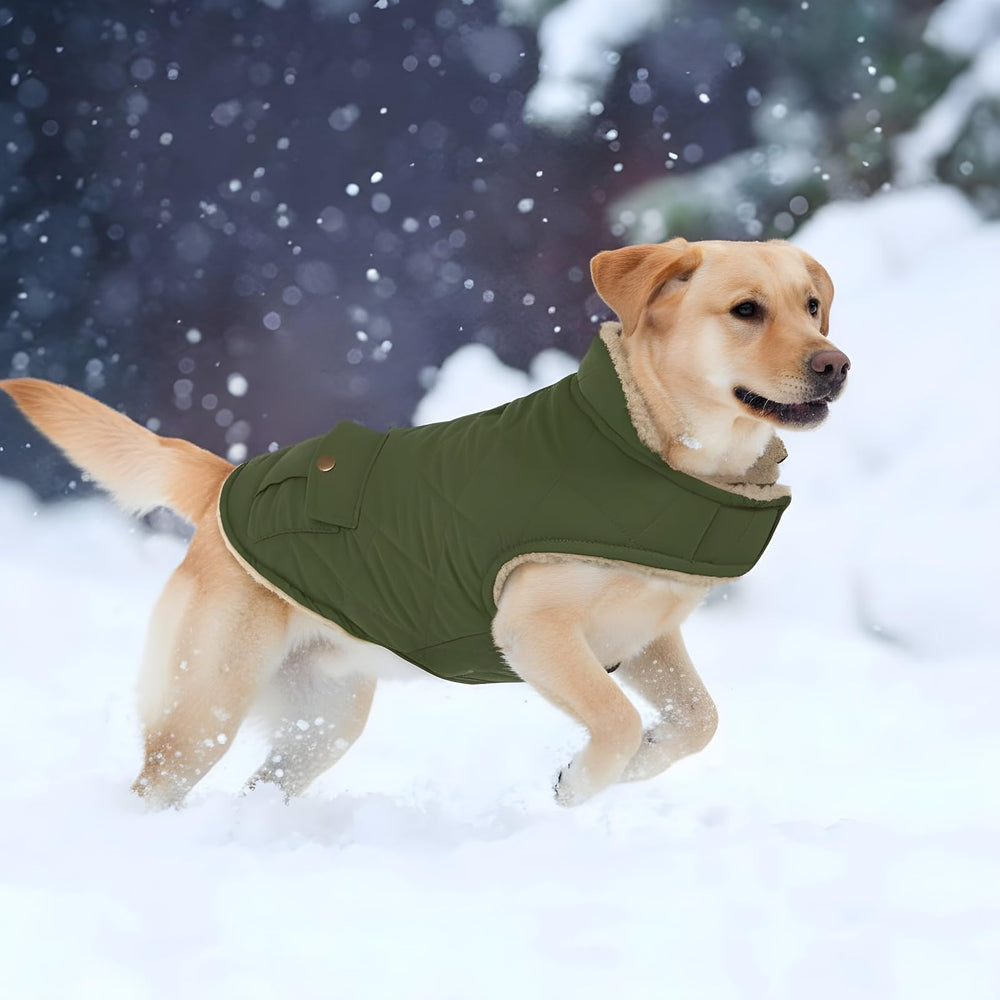 ASENKU manteau chien vert taille X-Large pour grands chiens.