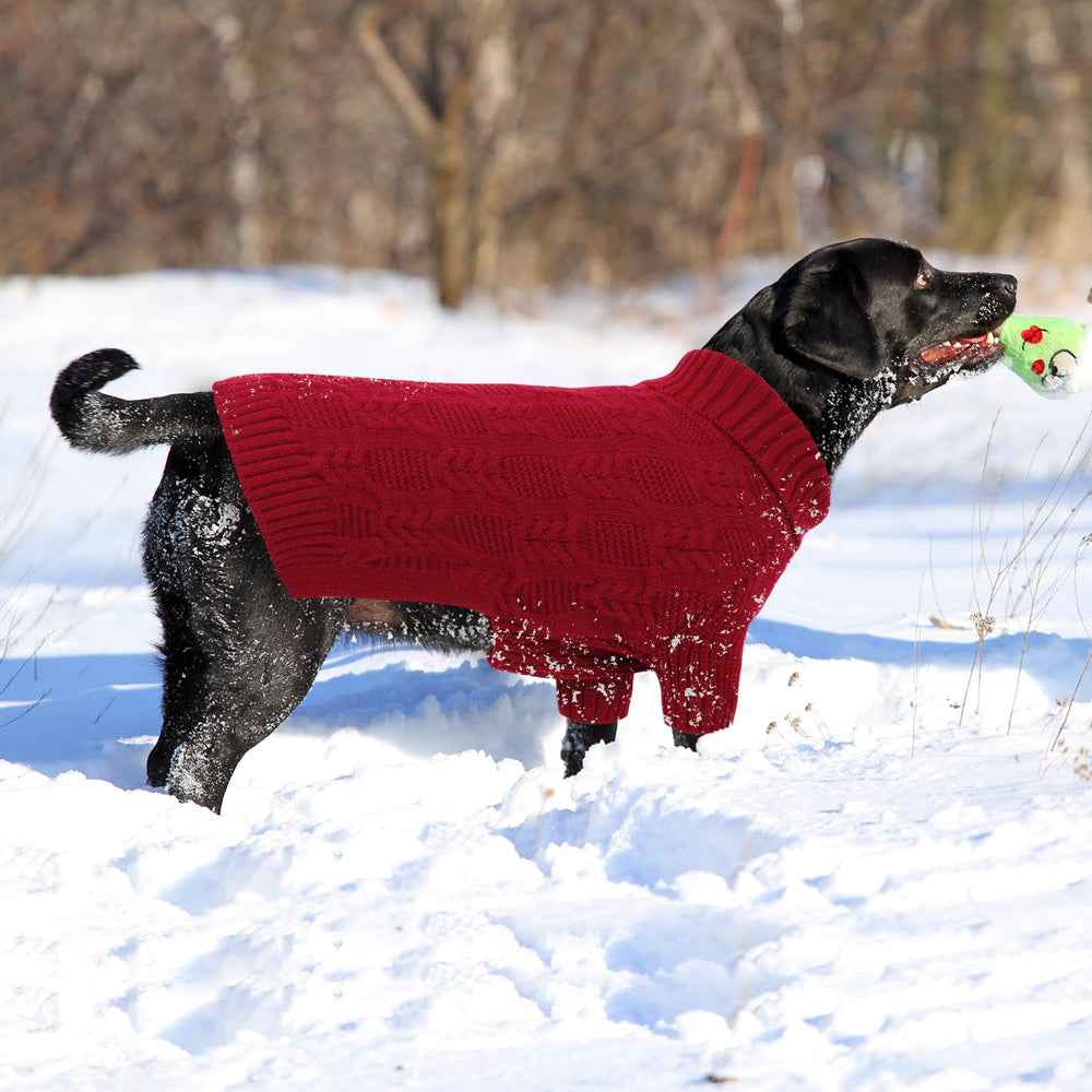 ASENKU pull-chien 4XL porté, démonstration de confort quotidien.