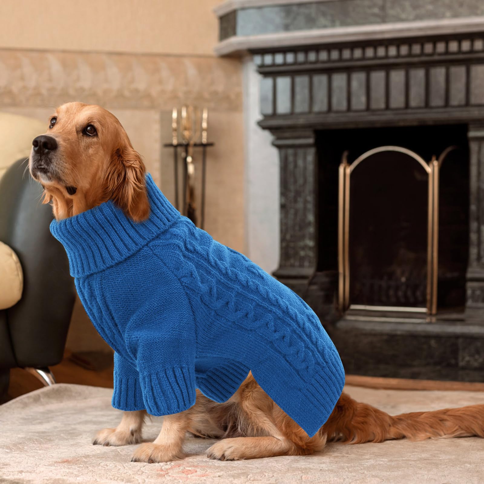 ASENKU pull-chien-tricot-thermique-usage-exterieur — parfait pour promenades hivernales.