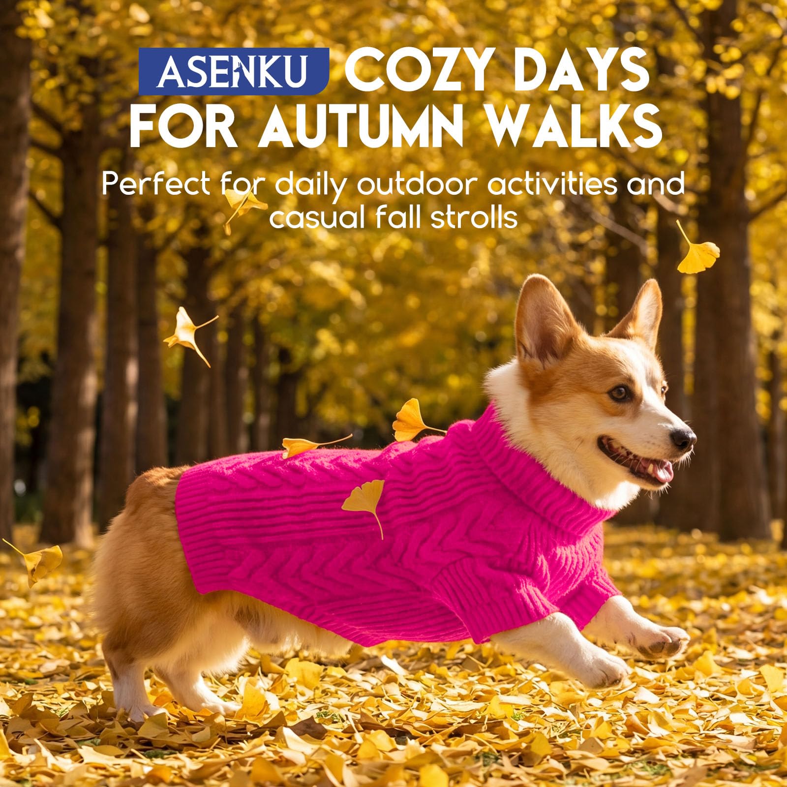 ASENKU pull chien XXL design tricot câble, look élégant.