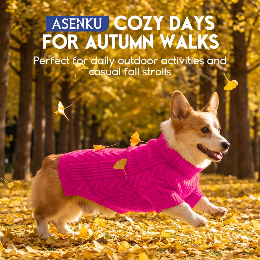 ASENKU pull chien XXL design tricot câble, look élégant.