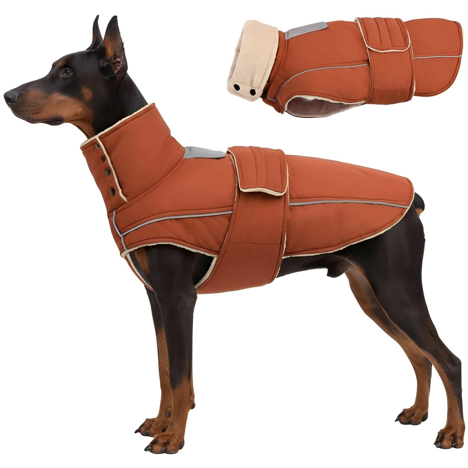 ASENKU veste chaude pour chien, imperméable et réfléchissante pour la sécurité nocturne.