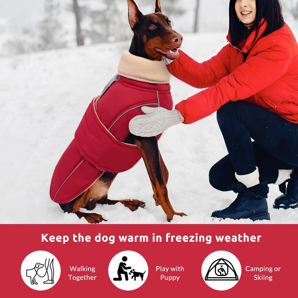 ASENKU veste chien chaude détail col montant — protège du vent lors des promenades