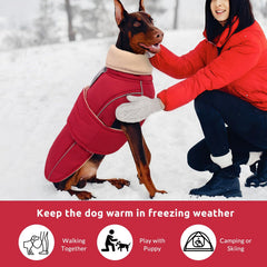 ASENKU veste chien chaude détail col montant — protège du vent lors des promenades