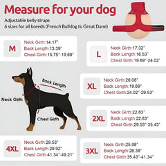 ASENKU veste chien chaude fermeture boutons — facile à enfiler, ajustement rapide