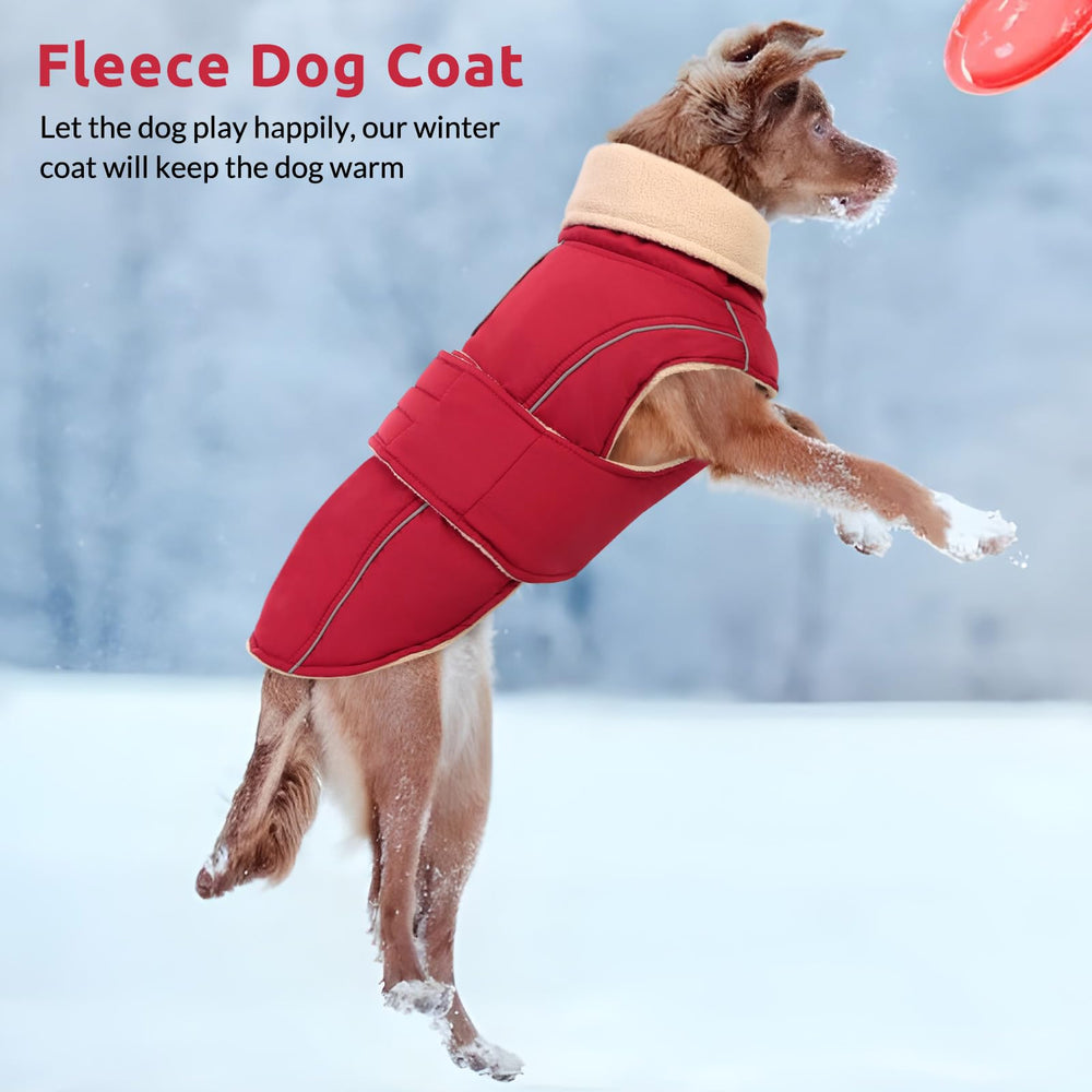 ASENKU veste chien chaude rembourrage matelassé — chaleur durable pour activités extérieures