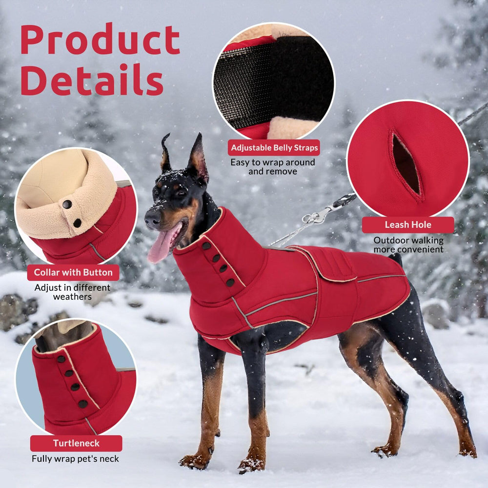 ASENKU veste chien chaude vue arrière — isolation renforcée pour les sorties hivernales