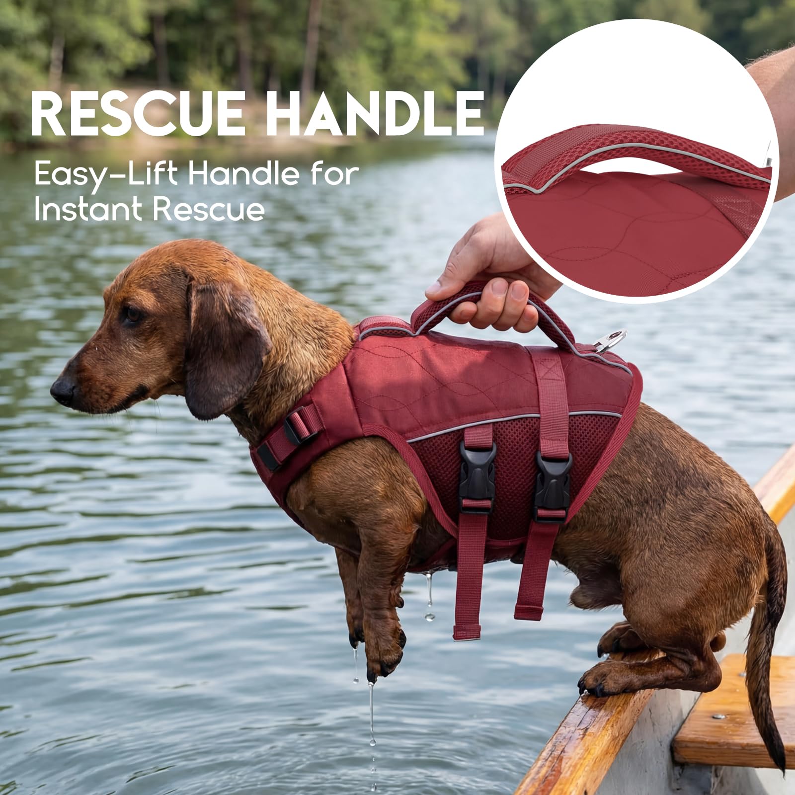 ASENKU veste sauvetage chien boucles métalliques ajustement sûr
