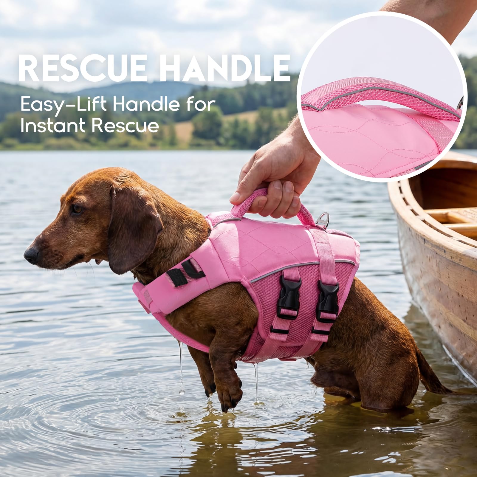 ASENKU veste sauvetage chien, D-rings et attaches, points d’ancrage pratiques.