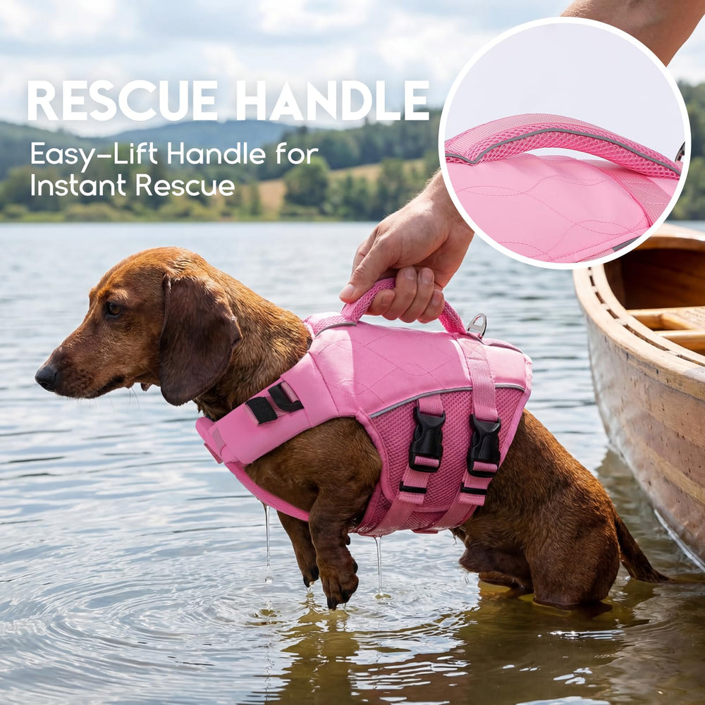 ASENKU veste sauvetage chien, D-rings et attaches, points d’ancrage pratiques.
