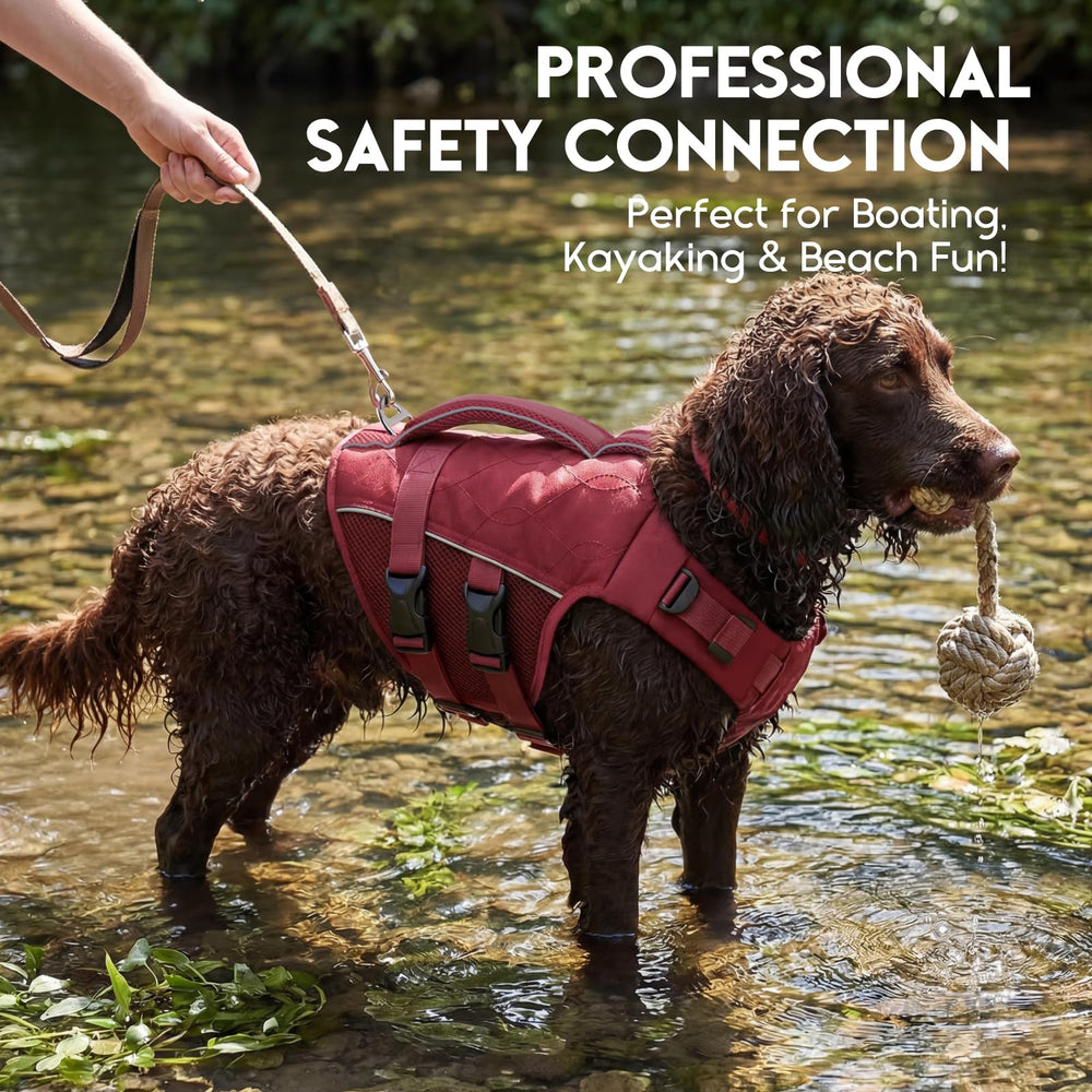 ASENKU Veste chien – tailles ajustables pour tous les tours de cou.