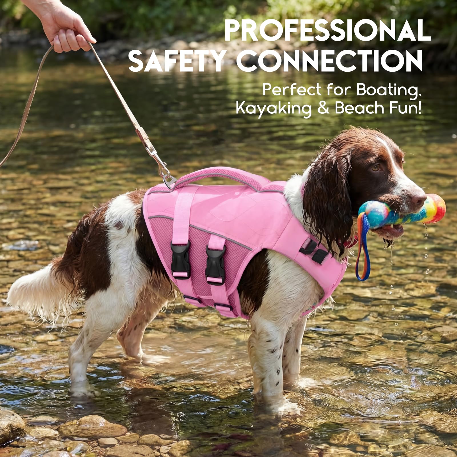 ASENKU veste sauvetage chien, tailles réglables, ajustement personnalisé pour chaque chien.
